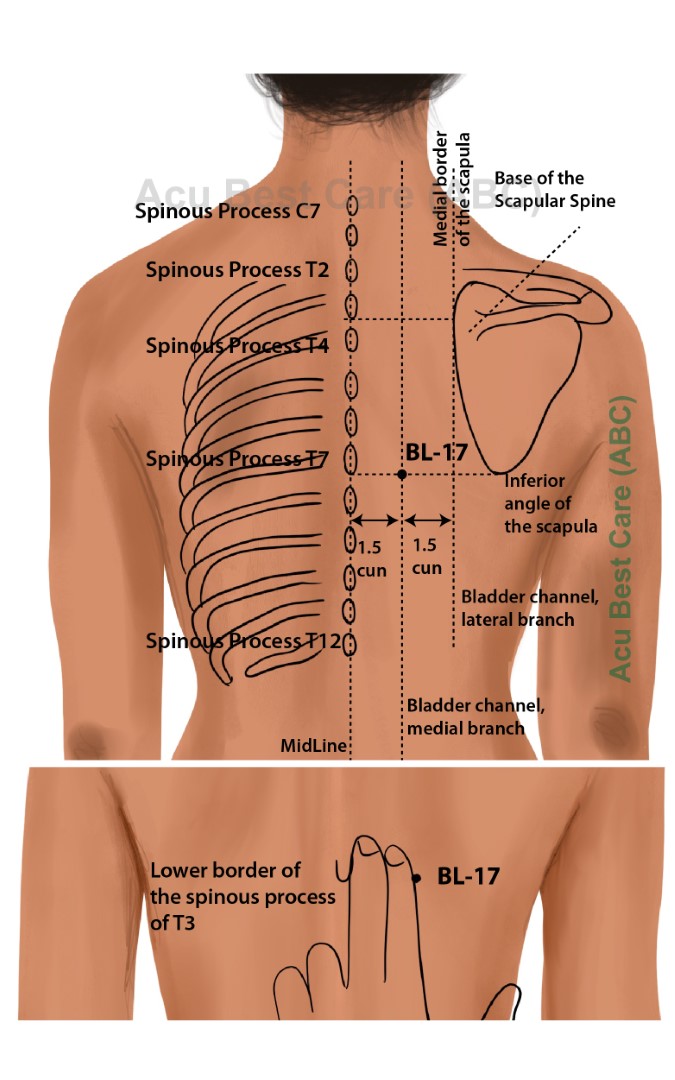 Acubestcare Meridian UB-17 or BL-17